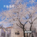段亦轩 - 追随 (DJ版)
