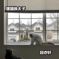 段亦轩 - 法则电摆