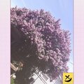 Ramsay - Beautiful