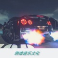 刘志雄 - 梦的翅膀受了伤