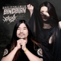 BINGBIAN病变