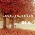 顾小笙 - 城南花已开