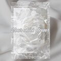 Tori - Your white flower