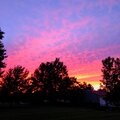 Bill - Sunset