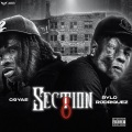 Section 8 (Explicit)