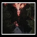 Dell - Mistaken