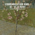 阿D - 第二级 D大调