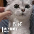 我的小橘子 - 春夏秋冬的你
