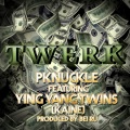 Twerk (feat. Ying Yang Twins)(Explicit)