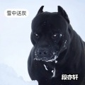 段亦轩 - 不一定温柔 (DJ版)