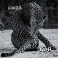 段亦轩 - 一切随风历尽沧桑 (DJ版)