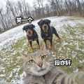 段亦轩 - 开火车摇 (DJ版)