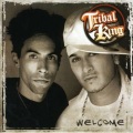 3rd Face、Tribal King - Canto Della Liberta (MarkPellegriniRadioEdit)