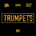 Salvi、Sean Paul - Trumpets (Radio Mix)