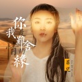 菲儿 - 你是我难舍的情缘