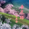 苏辰念 - 命运傀儡