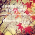 冷羽轩 - 终是庄周梦了蝶