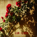 尘楠 - 红色
