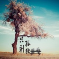羽神 - 只剩孤独