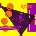 Buzzcocks - Harmony In My Head (Demo)