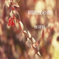 张诗哲 - 丧句