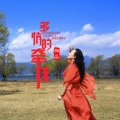 梅朵 - 多情的牵挂
