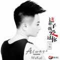 吴凯 - 能者居之