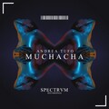 Andrea Tufo - Muchacha (Original Mix)(Remix)