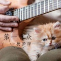 杨梦辞 - 蝶怨