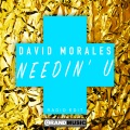 David Morales