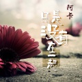 阿卡 - 只是没有在一起