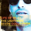Lightning Seeds - Hang On To A Dream