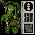 Brea、Desdel Barro - Cuscuta