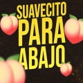 Dj Perreo Mix - Suavecito para Abajo