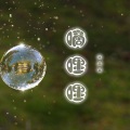 张思思 - 姑娘你怎么变了