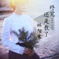 林陌寒 - 终究还是错过了