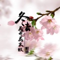 利明 - 冬去花开花又败