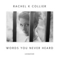 Words You Never Heard(Remixes)