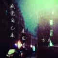 方木 - 只爱陌生人