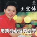 王宏伟 - 西部放歌