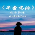 歌手梦迪 - 半壶老酒