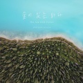 全素妍 - 사랑밖엔 난 몰라