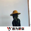叶妹、虞姬、圈妹、车载音乐汇 - 燕无歇