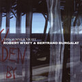 Bertrand Burgalat、robert wyatt - This Summer Night (Hot Chip Remix)