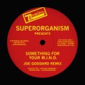 Something For Your M.I.N.D. (Joe Goddard )(Remix)