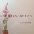 杨李、南雨殇 - 城南花已开