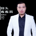 崔伟立 - 回头看看我