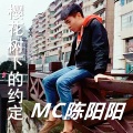 陈阳阳、MC博宇 - 樱花树下的约定 (歌唱版)