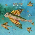Cosmo Sheldrake - Pliocene