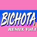 Dj fuego - Bichota By Nadira